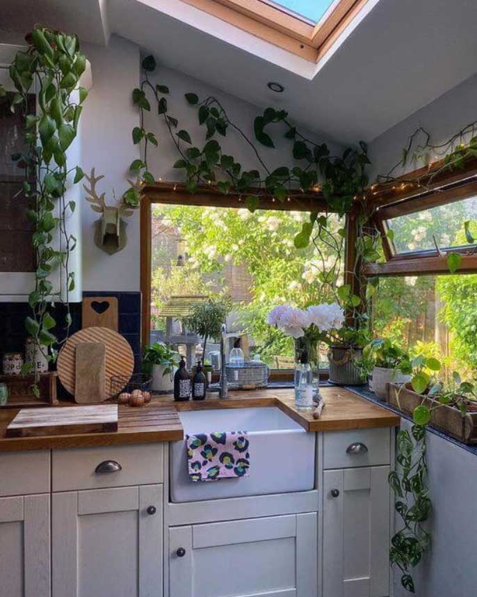 kitchen decoration ideas with plants