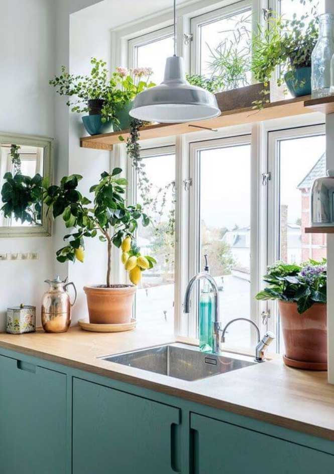 kitchen decoration ideas with plants