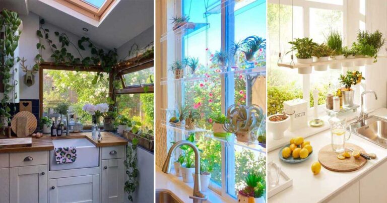 Kitchen Decoration Ideas with Plants
