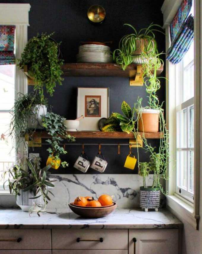 kitchen decoration ideas with plants