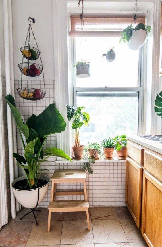 kitchen decoration ideas with plants