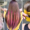 19 Two Tone Hair Color Ideas to Transform Your Look